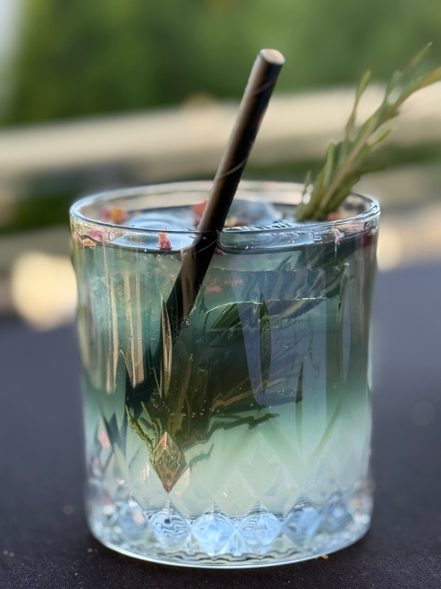 NailCrest Shadow Garden Cocktail